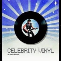 Celebrity Vinyl - Cover Book (Bog)